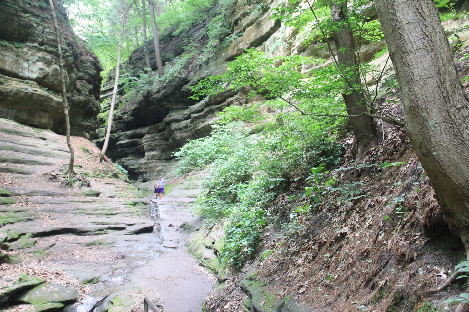 Starved Rock 